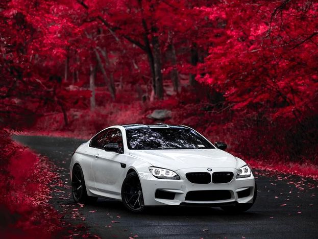 BMW M6 価格