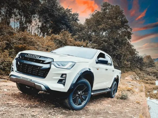 いすゞ D-MAX 中古車 注意点