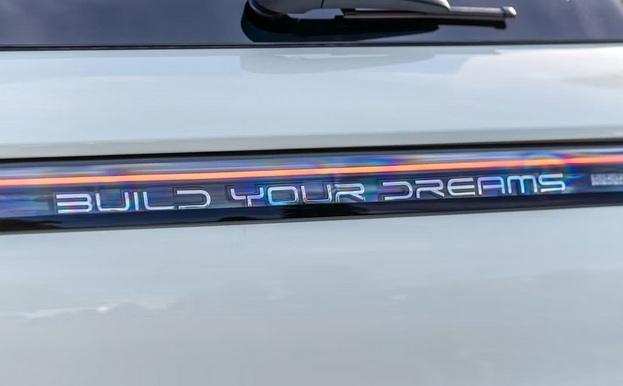 BYD ドルフィン 中古車 注意点