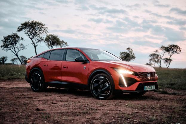 プジョー 408 中古車 注意点