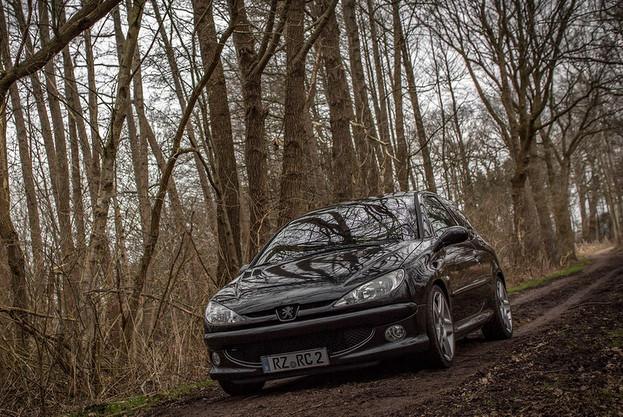 プジョー206 口コミ