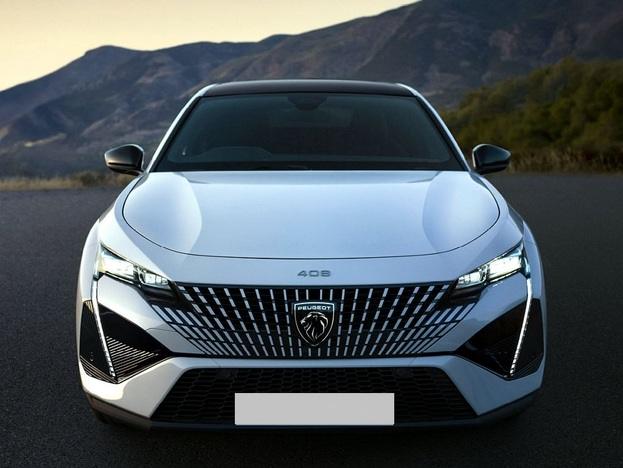 プジョー408 中古車 注意点